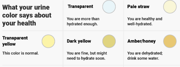 urine color chart