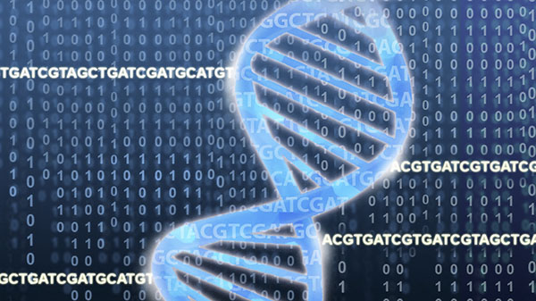 PediatricsNationwide