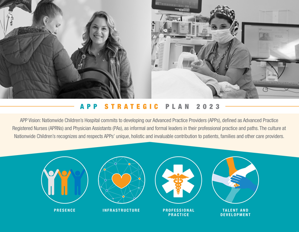 APP Strategic Plan Graphic