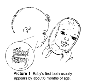 Teething Helping Hands