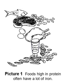 Foods high in protein often have a lot of iron