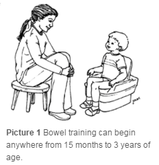 Child sitting on training toilet with feet on the ground and back supported.