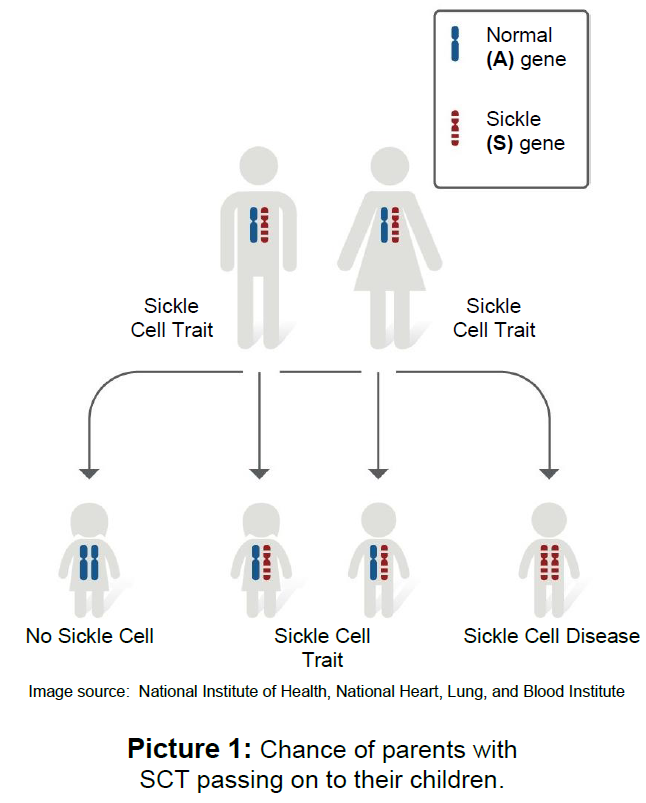 sickle cell trait