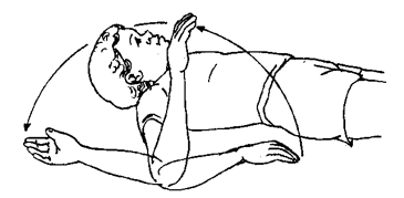 Exercises-Arms and Hands (Passive)