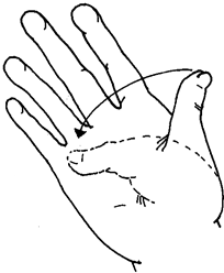 Exercises-Arms and Hands (Passive)