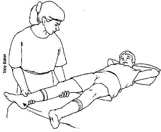 Exercises Lower Extremities-Older Child (Passive)