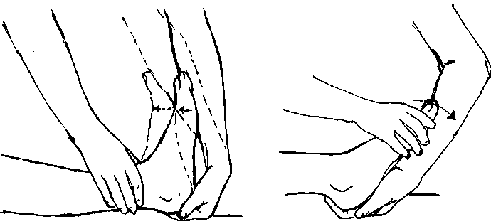 Exercises Lower Extremities-Older Child (Passive)