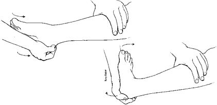 Exercises Lower Extremities-Older Child (Passive)