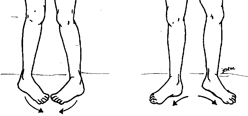 Exercises: Lower Extremities (Active)