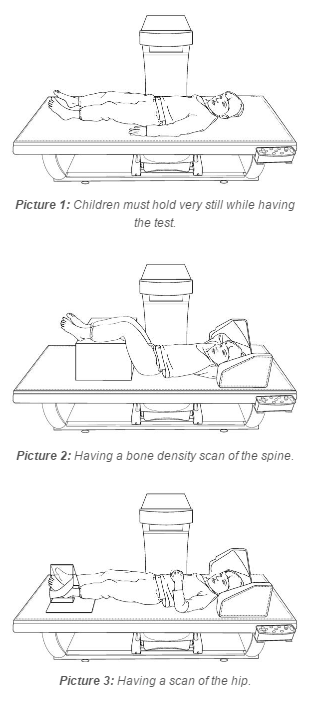 Scans of the spine and hip