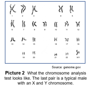 What the chromosome analysis test looks like. The last pair is a typical male with an X and Y chromosome.