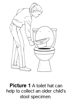 A toilet hat can help to collect an older child's stool specimen.
