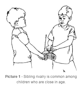 Sibling rivalry is common among children who are close in age