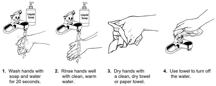 Hand washing steps