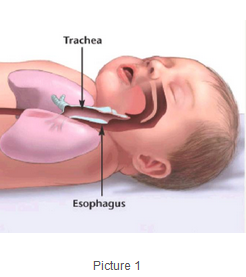 safe sleep practices 1