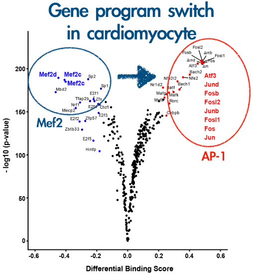 Li Lab Projects and Publications