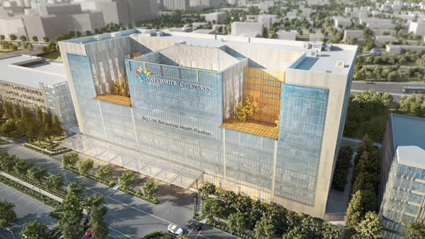 Big Lots Behavioral Health Pavilion Facade