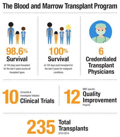 bmt infographic