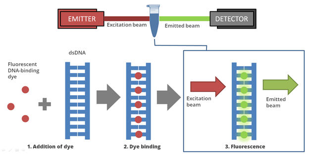 IGM Clinical Lab Graphic