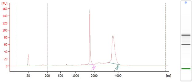 IGM Clinical Lab Graphic
