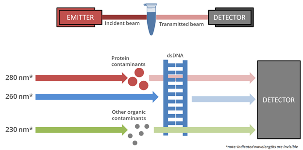 IGM Clinical Lab Graphic
