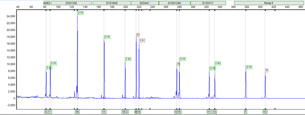 IGM Clinical Lab Graphic
