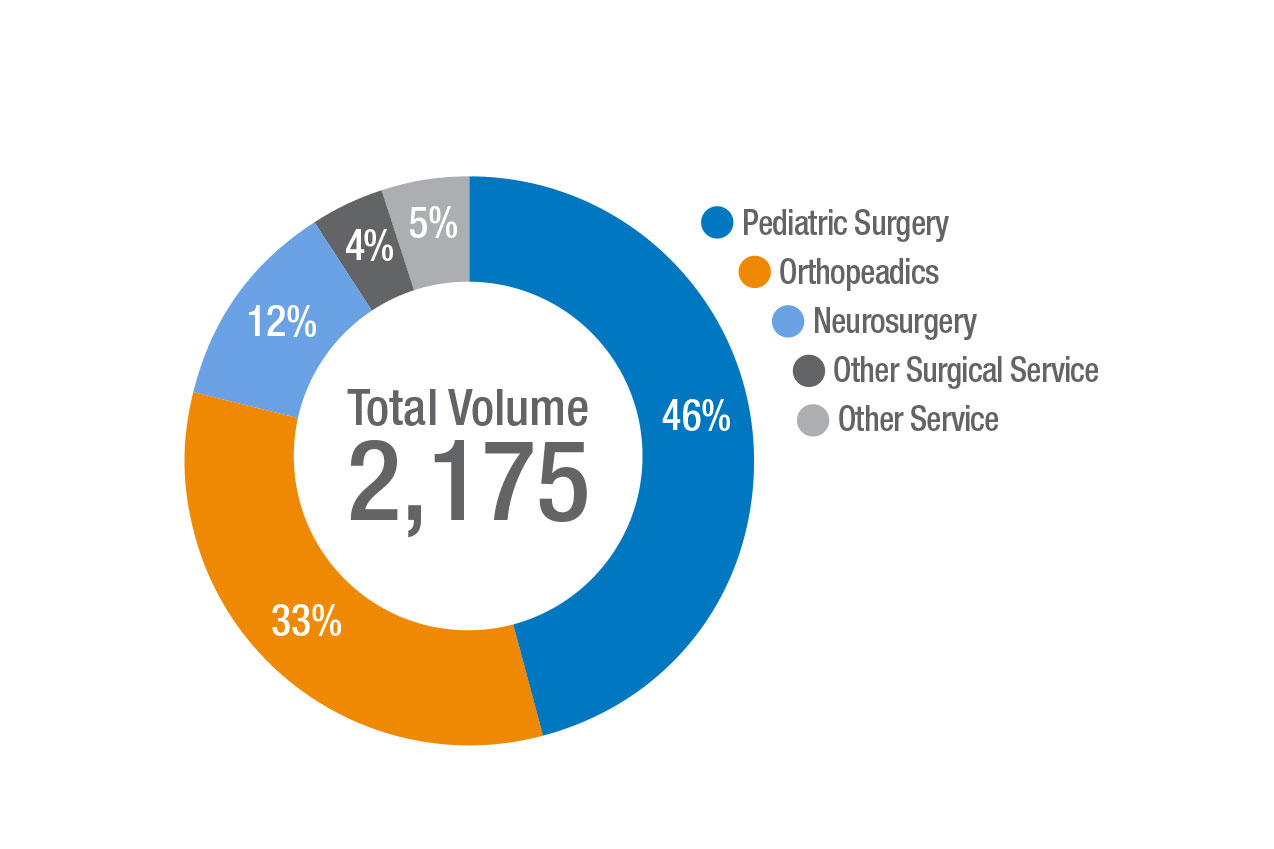 2019 Trauma Admissions by Service